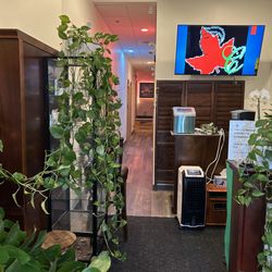 Maple Beauty Spa - 5873532900