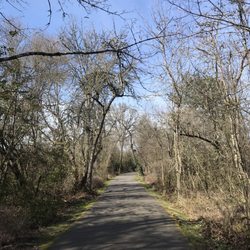 Short trail