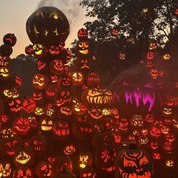 Jack-O-Lantern Spectacular