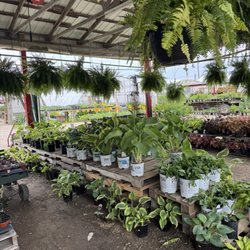 Brown's Family Farm Market - Plants