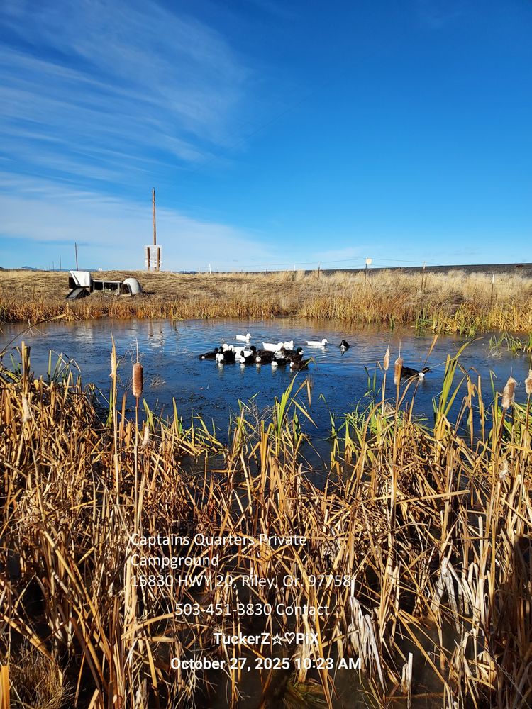 Captains Quarters Private Campground