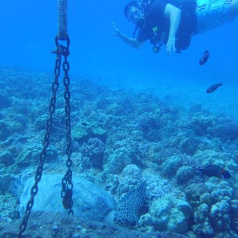 Hawaiian Diving Adventures - Scuba Diving Near Me - Honolulu, Hawaii Hawaiian Diving Adventures - Scuba Diving Near Me - Honolulu, Hawaii