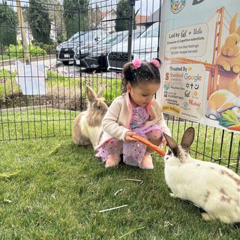 Bunny Gurus - Petting Zoos Near Me