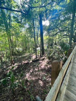 Fanning Springs State Park by null