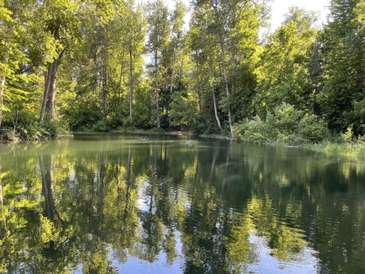 Enchantment Park by null