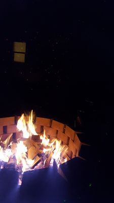 Shannon Faye Winery by null