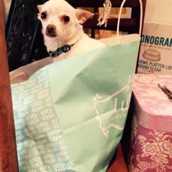Lulu's Shoes and Accessories - My chihuahua loved the shopping bag.   Lol