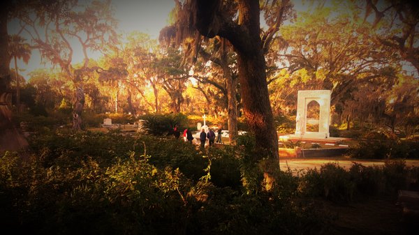 Bonaventure, Historic Savannah, Low Country & Private with Shannon Scott Tours by null