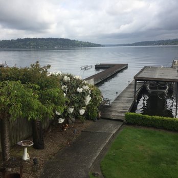 Moss Master Plus - Before pressure washing the concrete and dock - Gutter Services Near Me Moss Master Plus - Before pressure washing the concrete and dock - Gutter Services Near Me