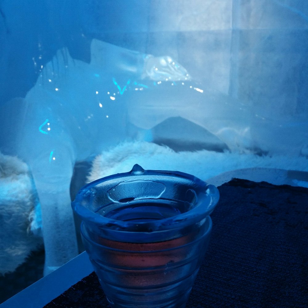Magic Ice Bar - Soo cold - Bars Near Me - Oslo, 03