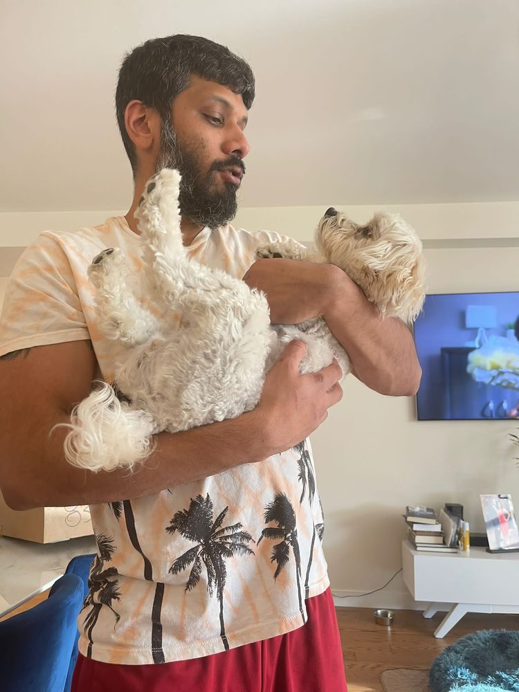 Vanity Pups Image