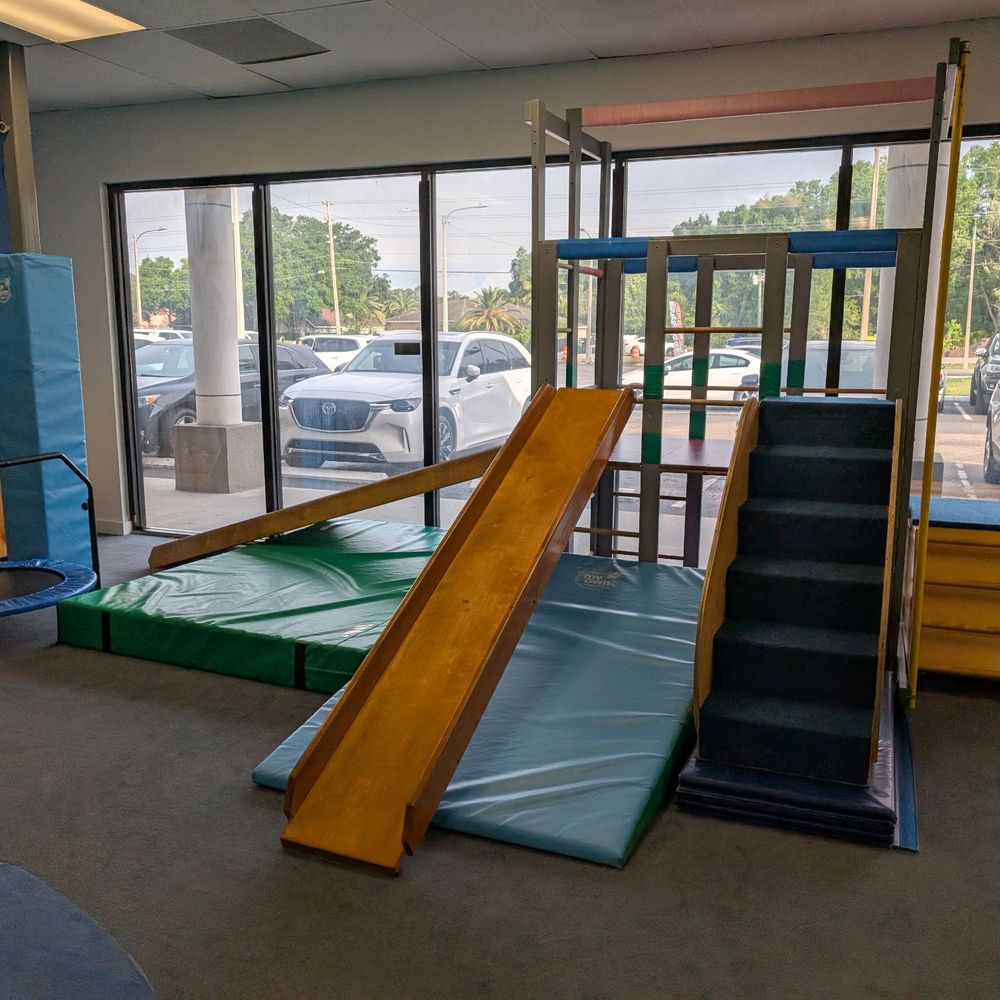 My Gym - Gyms Near Me - Lutz, Florida