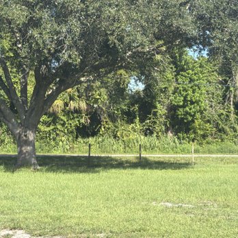 DKLM Services - All cleaned up and beautiful! - Tree Services Near Me - Cocoa, Florida