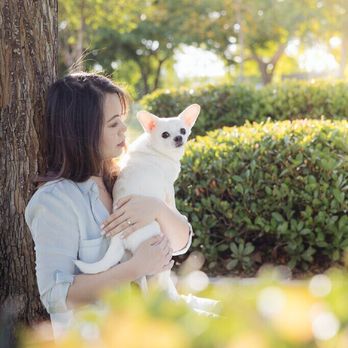 Frame Your Pet - Photographers Near Me