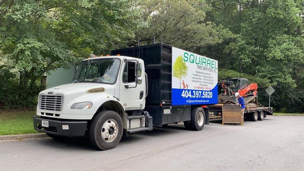 Squirrel Tree Services - tree service in Cumming, GA