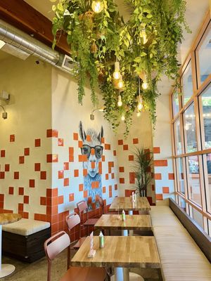 Merka Saltao by null