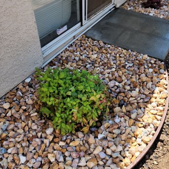 Maldonado Landscaping - He also created a garden area and transplanted plants for us. - Landscaping Near Me