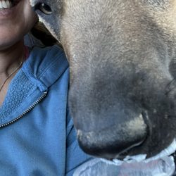 Furry Faces  - Getting spoiled by Adriana