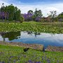 Photo of The University of Queensland