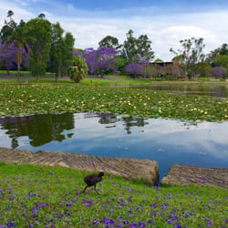 The University of Queensland - Beautiful