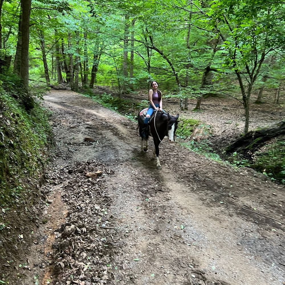 Five Oaks Riding Stables - Horseback Riding Near Me - Sevierville, Tennessee Five Oaks Riding Stables - Horseback Riding Near Me - Sevierville, Tennessee
