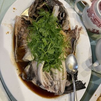 Jin Duck House - Fish - Chinese Near Me - San Gabriel, California Jin Duck House - Fish - Chinese Near Me - San Gabriel, California