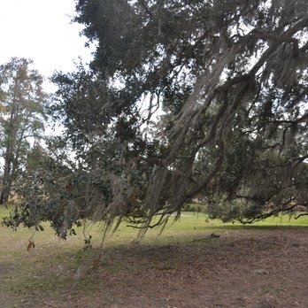 Bloody Point Lighthouse - Almost Angel Oak was beautiful - Landmarks & Historical Buildings Near Me - Daufuskie Island, South Carolina