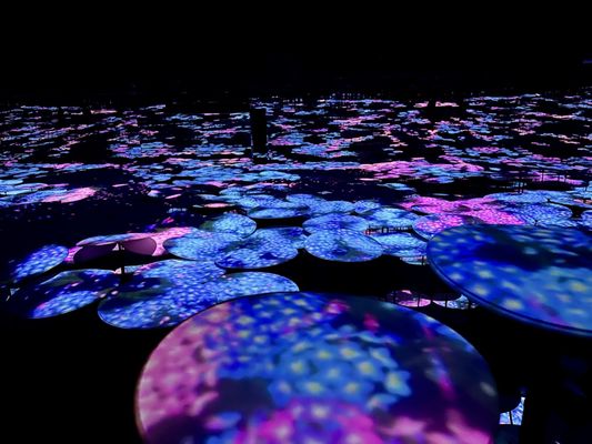 teamLab Borderless: MORI Building DIGITAL ART MUSEUM by null