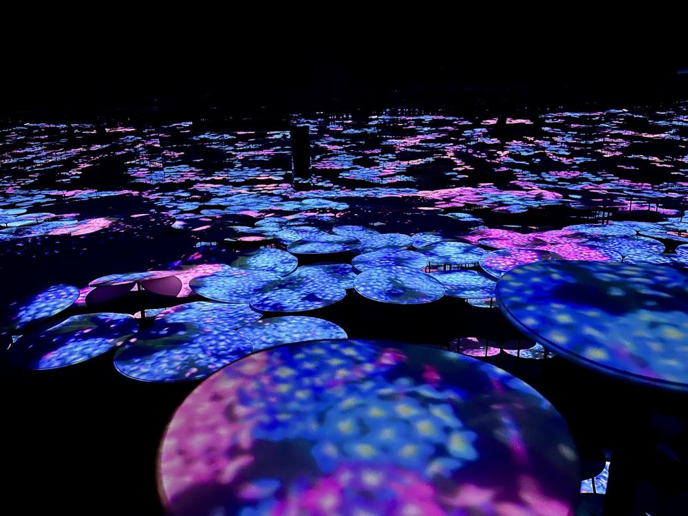 teamLab Borderless: MORI Building DIGITAL ART MUSEUM