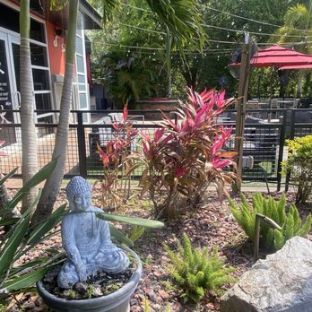 Sushi Alive - Outside decor and patio - Sushi Bars Near Me - Tampa, Florida