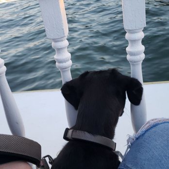 Big Bear Queen - Our dog even had a great time! - Boat Charters Near Me - Big Bear Lake, California Big Bear Queen - Our dog even had a great time! - Boat Charters Near Me - Big Bear Lake, California