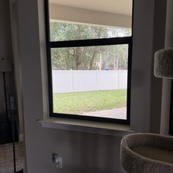 Winter Garden Windows
