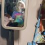 Biggles Window And Glass Washing