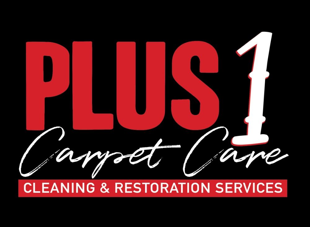 PLUS 1 CARPET CARE CLEANING & RESTORATION SERVICES 137 Photos & 139