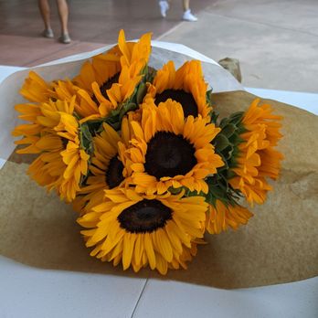 Baldwin Park Farmer's Market - Sunflower - Farmers Market Near Me - Baldwin Park, California Baldwin Park Farmer's Market - Sunflower - Farmers Market Near Me - Baldwin Park, California