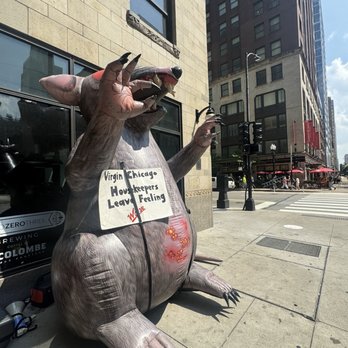 Virgin Hotels Chicago - Rat outside the hotel - Hotels Near Me - Chicago, Illinois Virgin Hotels Chicago - Rat outside the hotel - Hotels Near Me - Chicago, Illinois