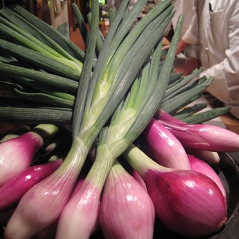 Chez Panisse - torpedo onions - New American Near Me - Berkeley, California Chez Panisse - torpedo onions - New American Near Me - Berkeley, California