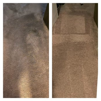 Bubbles Magoo Carpet Cleaners - Removing deeply embedded pet urine and odor staining. - Carpet Cleaning Near Me Bubbles Magoo Carpet Cleaners - Removing deeply embedded pet urine and odor staining. - Carpet Cleaning Near Me