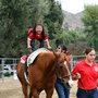 Photo of Ahead With Horses