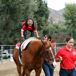 Ahead With Horses
