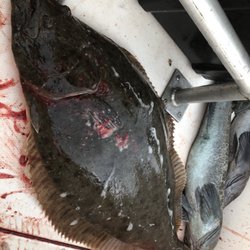 Rio Vista Bait & Tackle - Hey idiot. Come get some. I'll teach you how to catch something besides a striper. Lmao.
