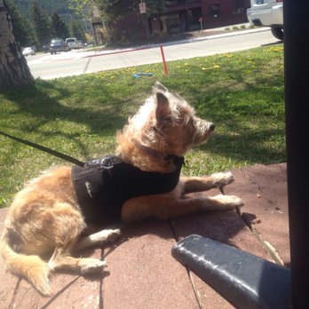 Big Hole BBQ - Jackson Hole - Grassy area next to the tables for pups to rest in the shade - Barbeque Near Me - Jackson, Wyoming Big Hole BBQ - Jackson Hole - Grassy area next to the tables for pups to rest in the shade - Barbeque Near Me - Jackson, Wyoming