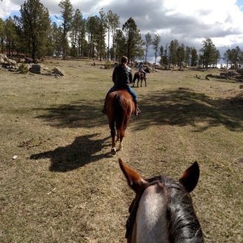 Hollingsworth Horses - Horseback Riding Near Me - Custer, South Dakota Hollingsworth Horses - Horseback Riding Near Me - Custer, South Dakota