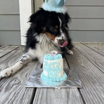 Michael's Barkery - Pet Groomers Near Me - Daniel Island, South Carolina