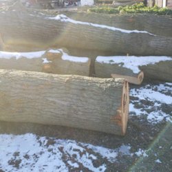 Amber Tree Service
