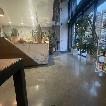 Proyecto Diaz Coffee - Cafes Near Me - Oakland, California