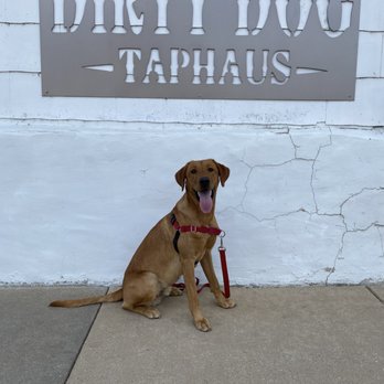 Dirty Dog Taphaus - Brewpubs Near Me - New Glarus, Wisconsin Dirty Dog Taphaus - Brewpubs Near Me - New Glarus, Wisconsin