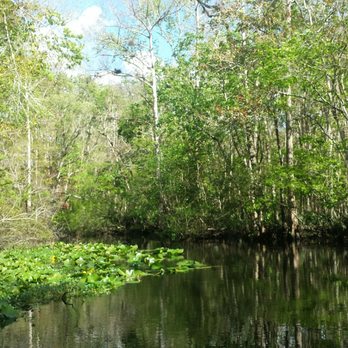 Sea Serpent Tour - Beautiful day! - Boat Tours Near Me - Saint Augustine, Florida