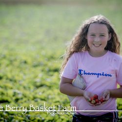 The Berry Basket Farm