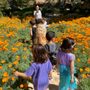 Photo of Anne Sullivan Preschool & Transitional Kindergarten
